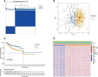 A prognostic model and immune regulation analysis of uterine corpus endometrial carcinoma based on cellular senescence